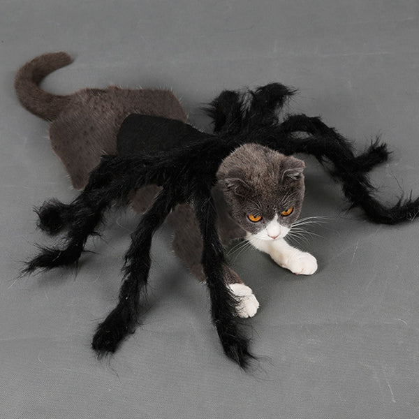 Halloween Pet Spider Clothes