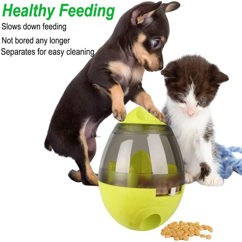 Treat Ball Food Dispenser Toy