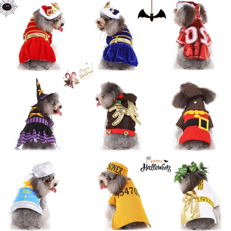 Funny Pets PARTY Costumes