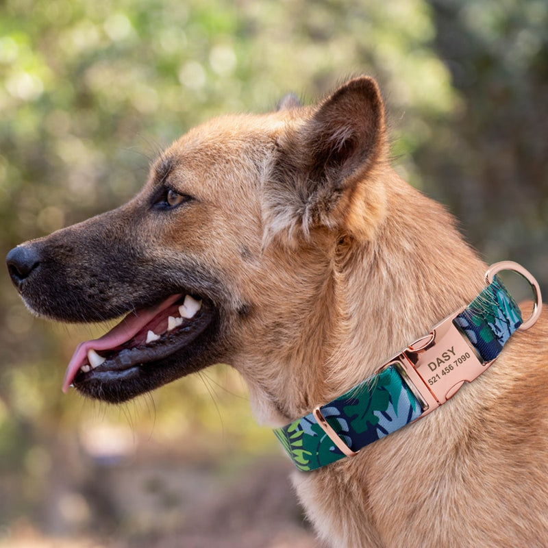 Nylon Engraved Puppy nameplate collar