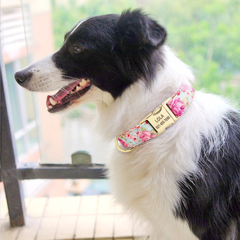 Nylon Engraved Puppy nameplate collar