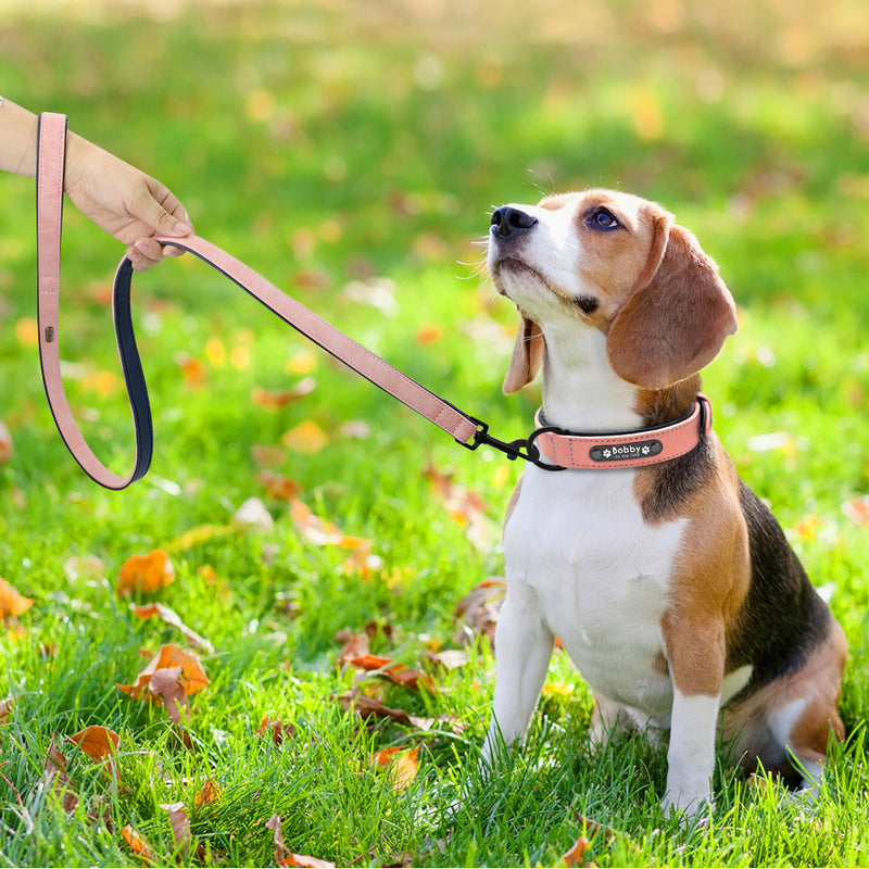 Custom Dog Collars+Leather Leashe