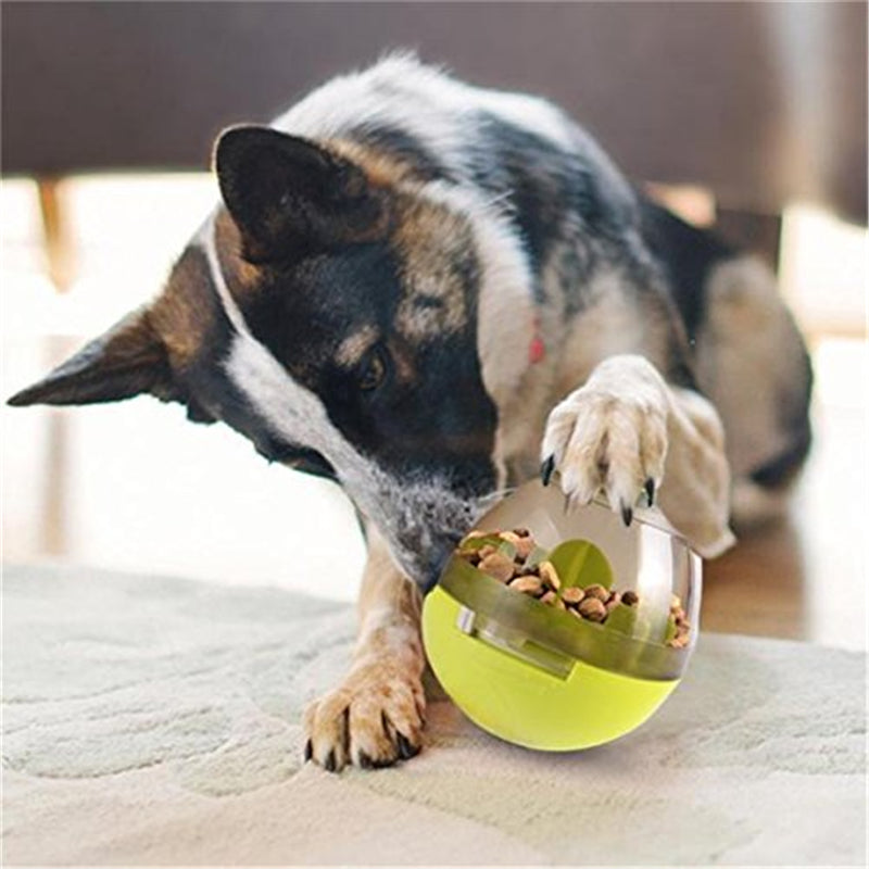 Treat Ball Food Dispenser Toy