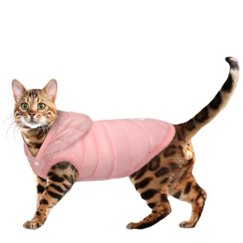 PETS winter Cotton Coat