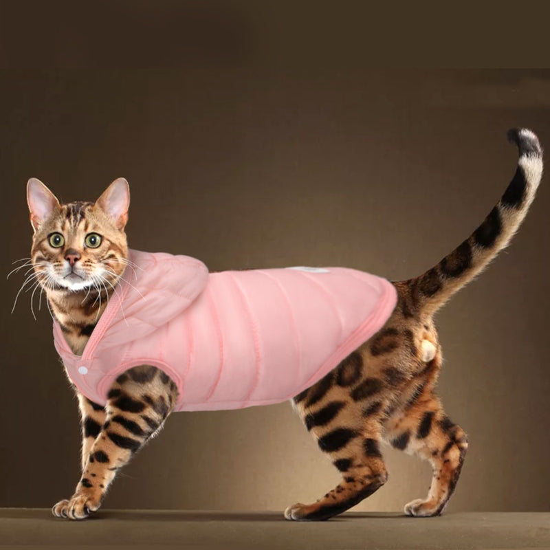 PETS winter Cotton Coat