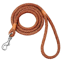 Rolled Leather Dog Leash