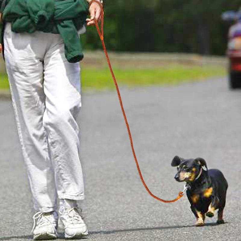 Rolled Leather Dog Leash