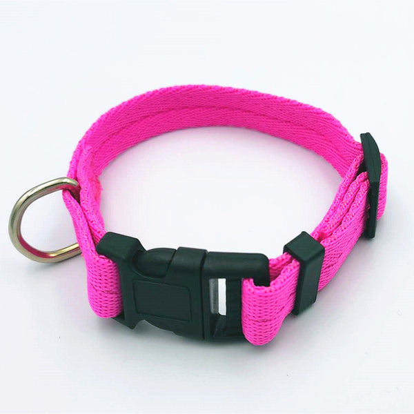 7 colors Pet dog collar IN MANY SIZES