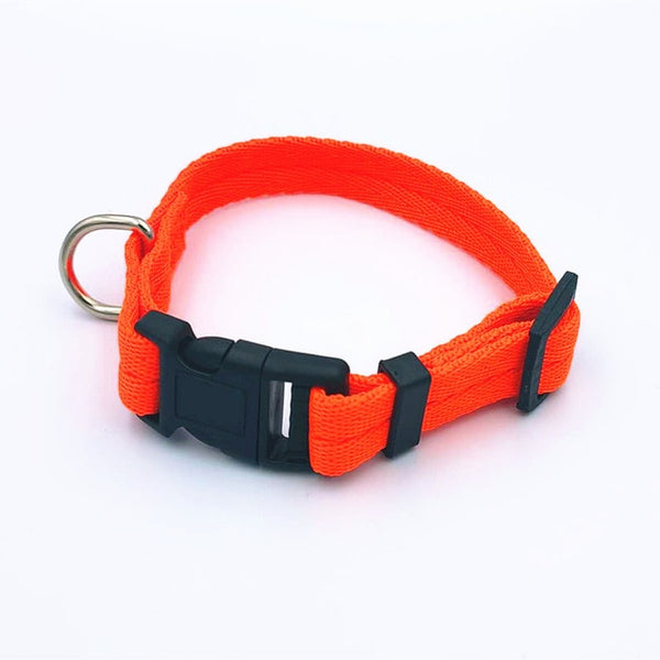 7 colors Pet dog collar IN MANY SIZES