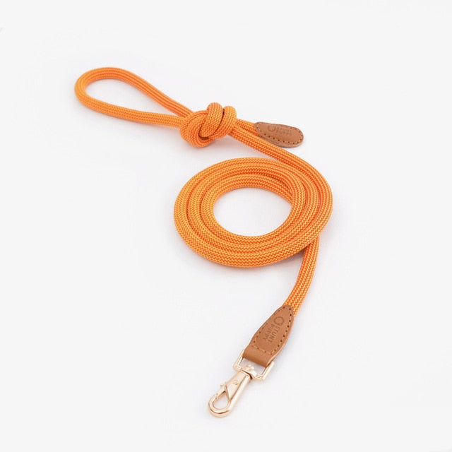 Stunt Puppy Cow Leather Climbing leashe