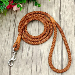 Rolled Leather Dog Leash