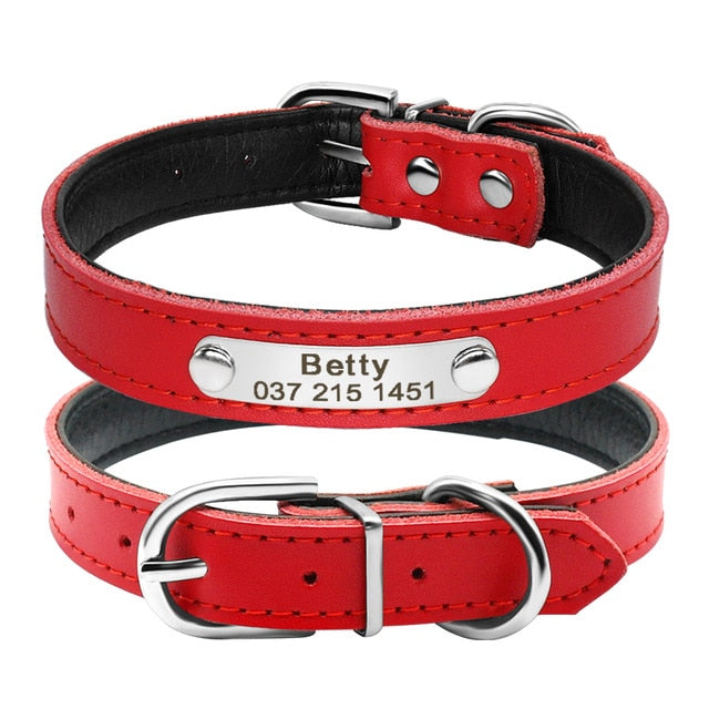 Leather Inner Padded Nameplate collar