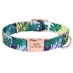 Nylon Engraved Puppy nameplate collar