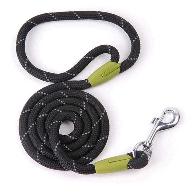 Nylon Pet Running Leashe