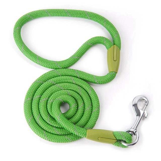 Nylon Pet Running Leashe