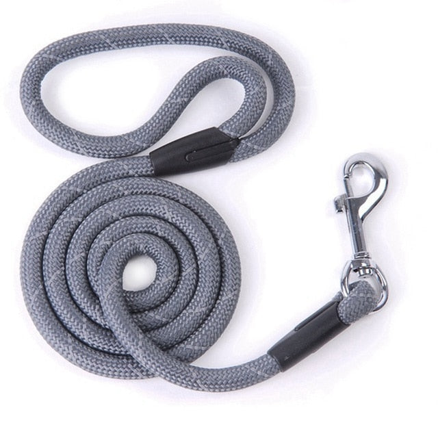 Nylon Pet Running Leashe