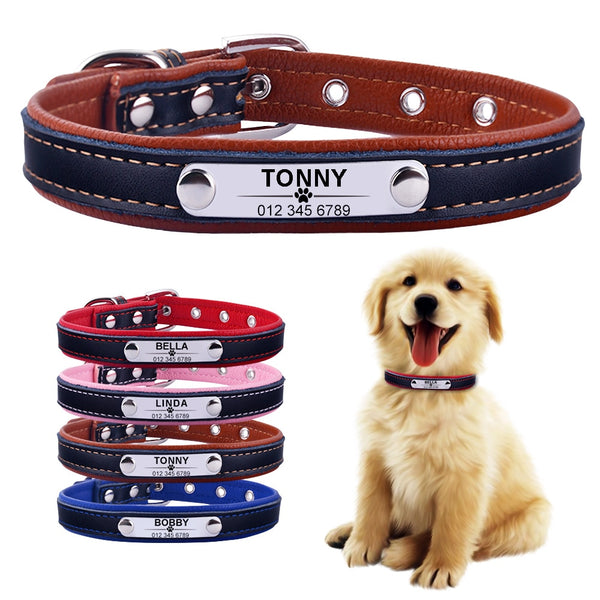 Personalized Leather Puppy Collar