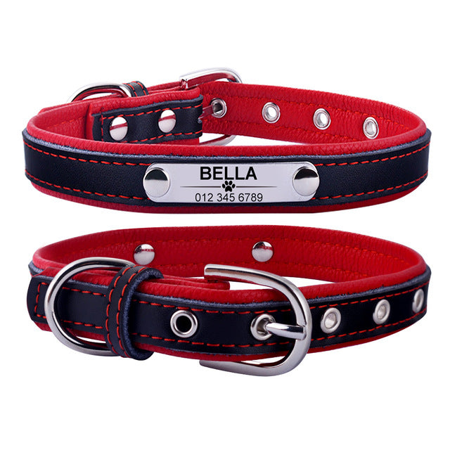 Personalized Leather Puppy Collar