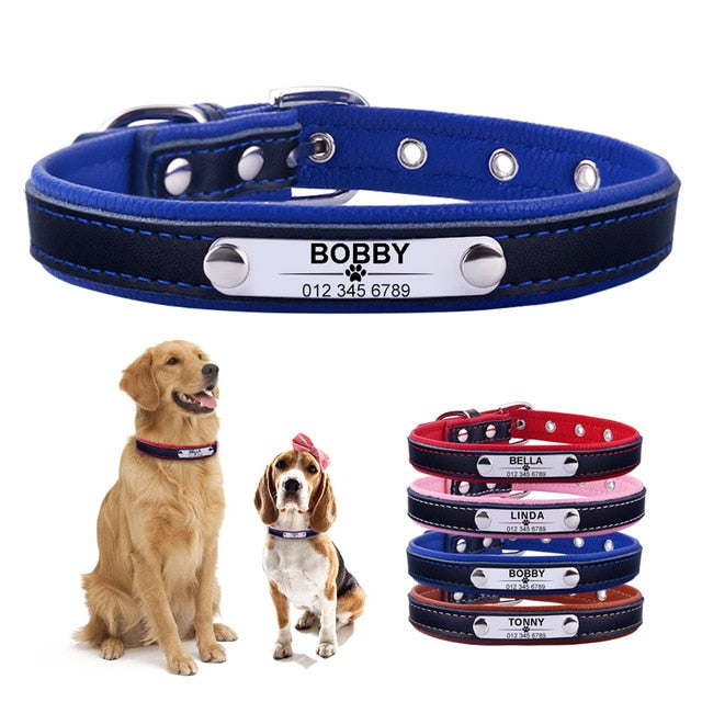 Personalized Leather Puppy Collar