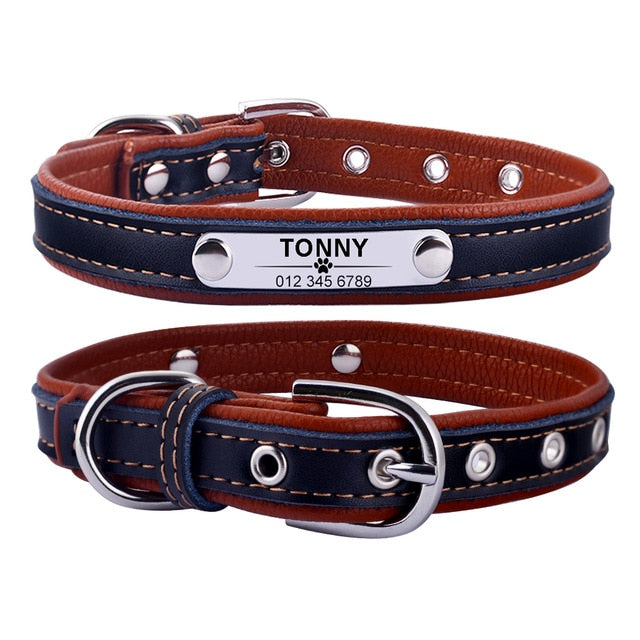 Personalized Leather Puppy Collar