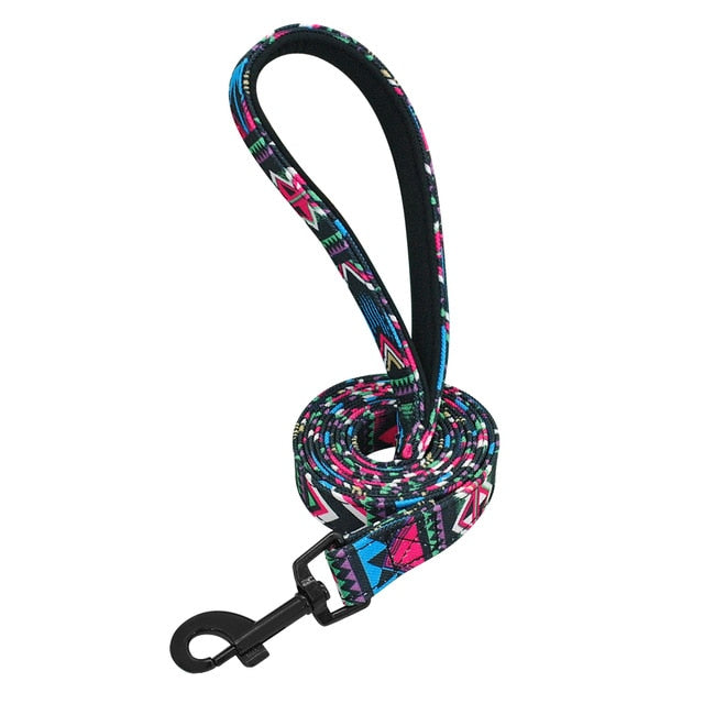 4ft Fashion Pattern pet Leash