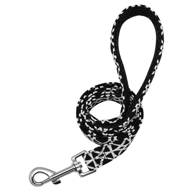 4ft Fashion Pattern pet Leash