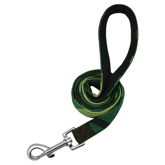 4ft Fashion Pattern pet Leash