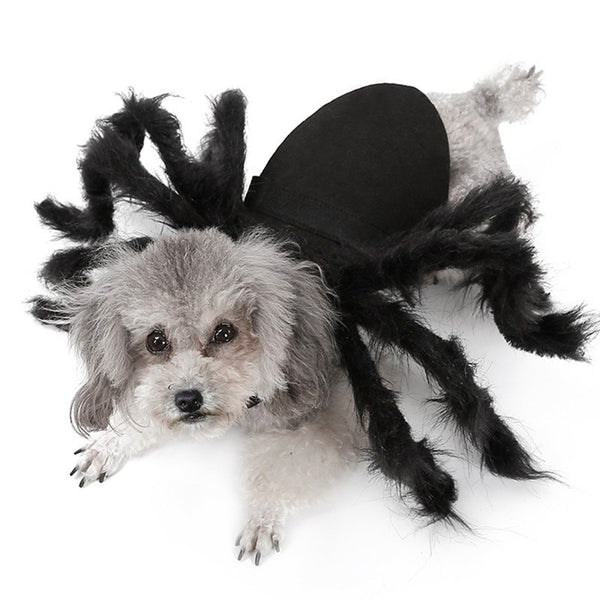 Halloween Pet Spider Clothes