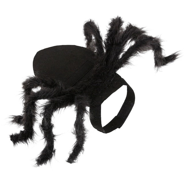 Halloween Pet Spider Clothes