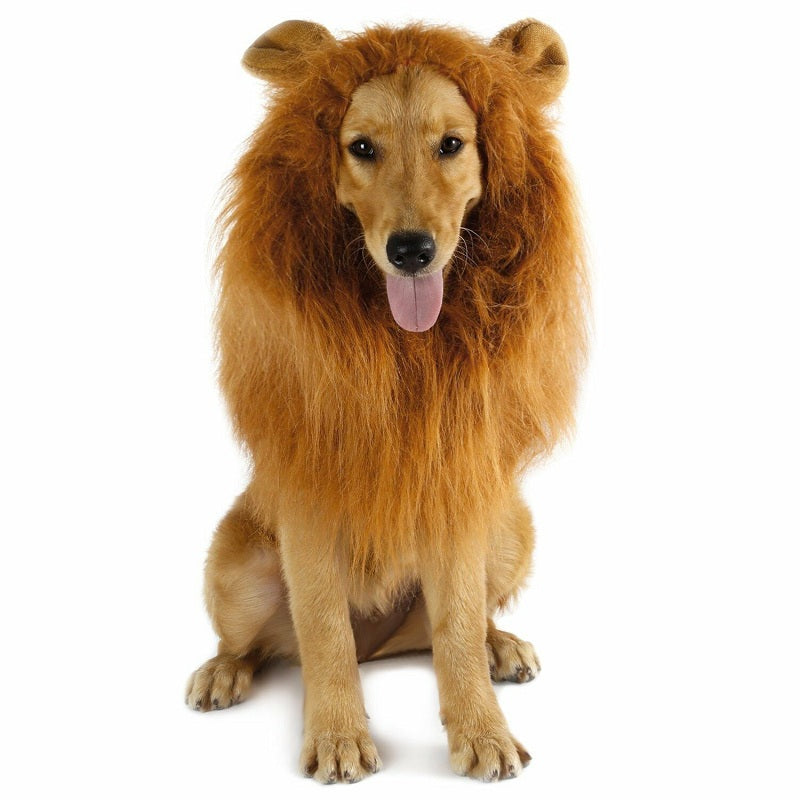 4 colors Pet Lion Mane Costume