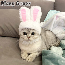 Cat Rabbit Ears Hat Pet Costumes