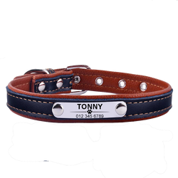 Personalized Leather Puppy Collar