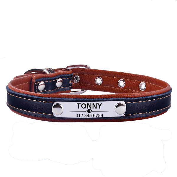 Personalized Leather Puppy Collar