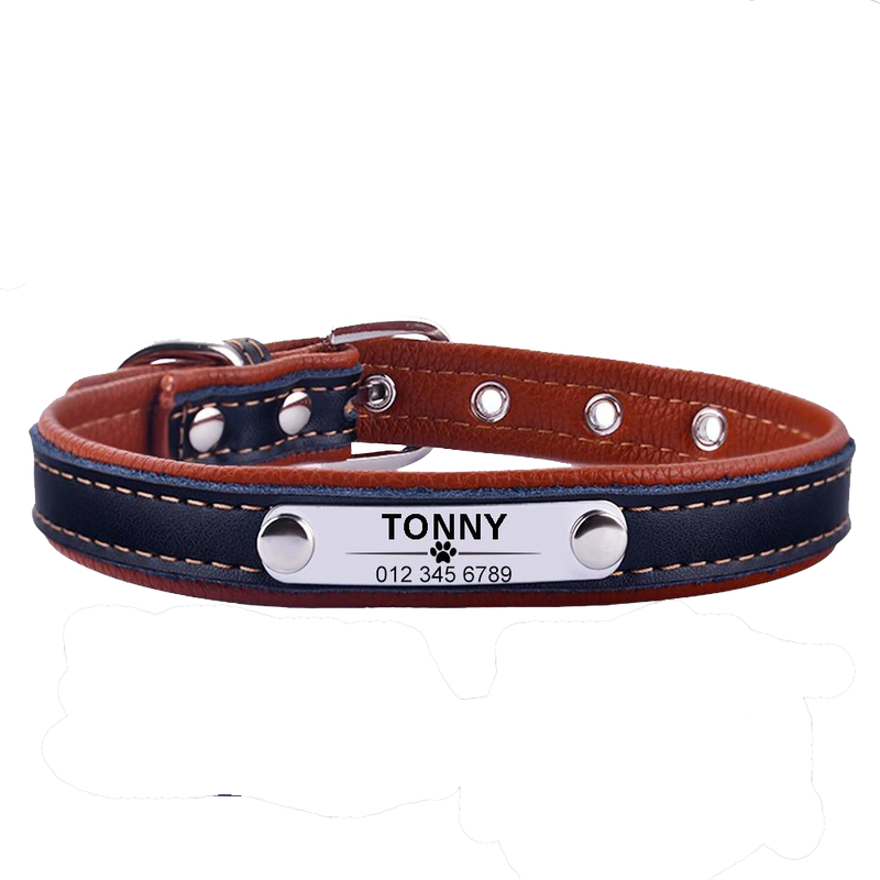 Personalized Leather Puppy Collar